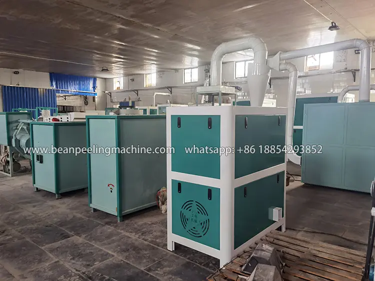 Broad /faba bean peeling and splitting machine