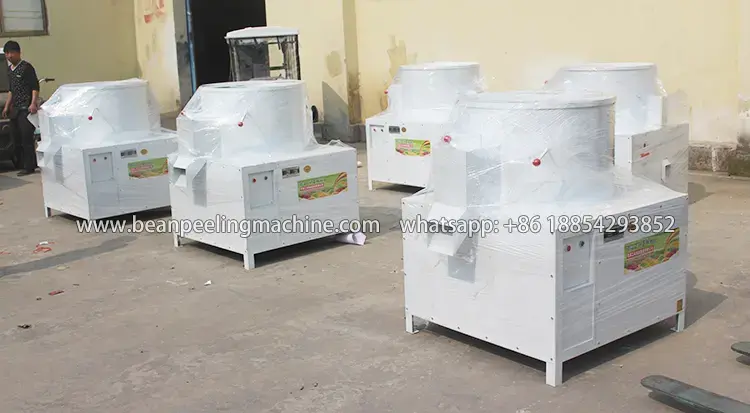 Full-automatic broad bean faba bean peeling machine