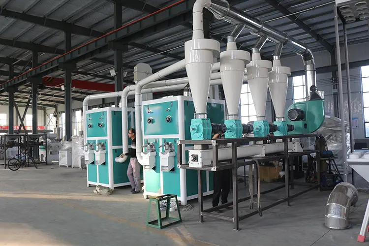 8TPH Soyabean peeling machine in Thailand