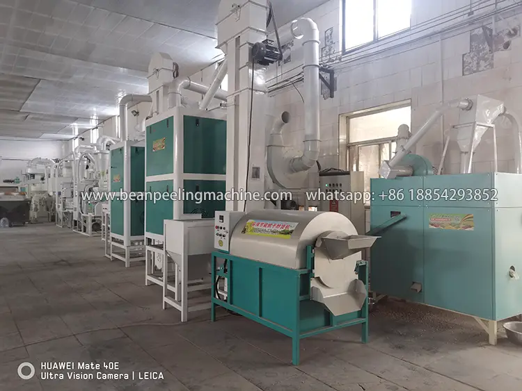 Broad /faba bean peeling and splitting machine