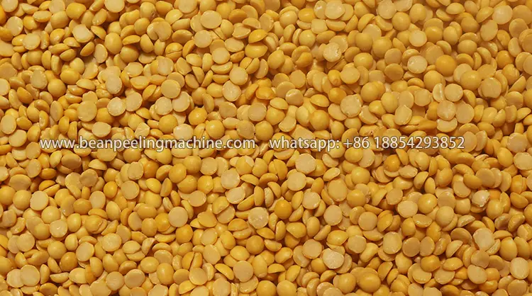 6FT-PB8 Soyabean pea peeling and splitting machine