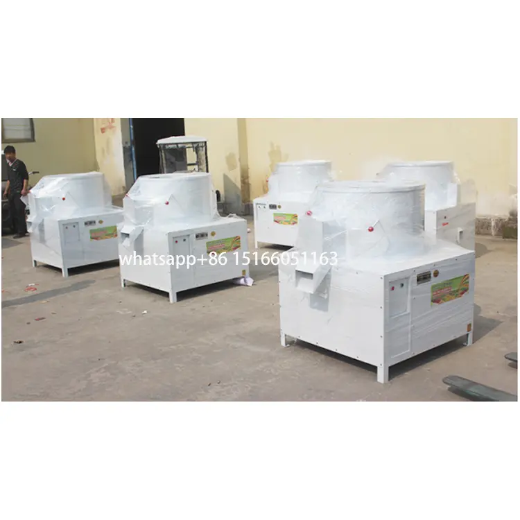 Hot sell tiger nut peeling machine for Spain and Ghana