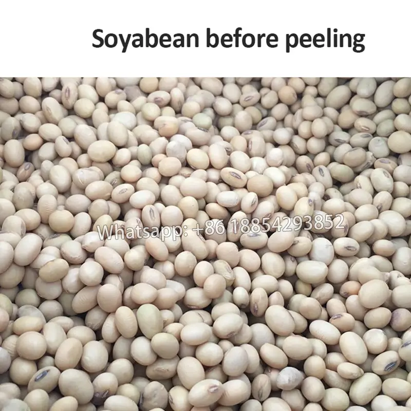 1500-2000kg/h soyabean /pea peeling peeler splitting machine in Malaysia