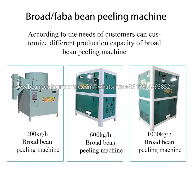 Broad-bean-peeling-and-splitting-machine.webp